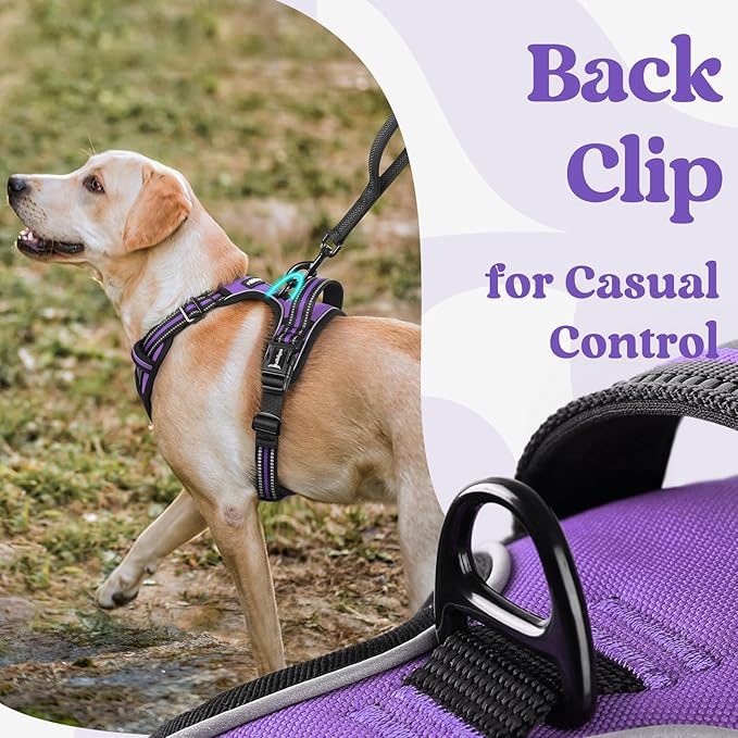 rabbitgoo Dog Harness for Large, No Pull Pet Harness with 3 Buckles, Adjustable Soft Padded Vest with Control Handle, Walking Reflective Pet Vest for Large Dogs, Purple, L