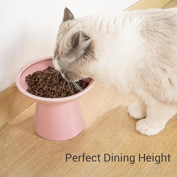 Extra Wide Elevated Ceramic Cat Bowl, 6.2" Shallow Dish for Whisker Fatigue Relief, 5" Height for Easy Feeding, Durable Raised Cat Food Bowls, Pack of 2, Pink
