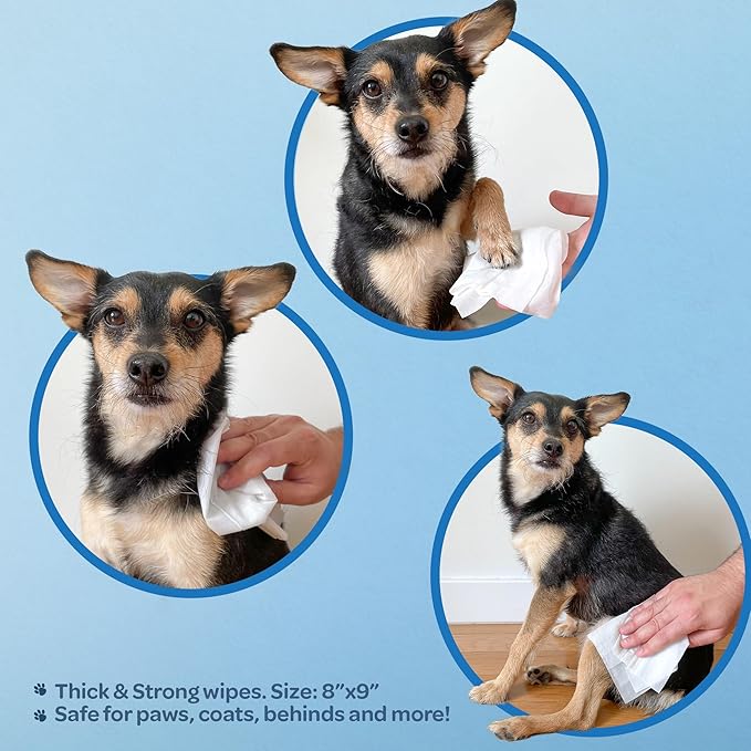 Best Pet Supplies Pet Wipes for Dogs - Dog Wipes Cleaning Deodorizing, for Coats, Ears, Paws - Moisturizing, Coconut, 100 Count