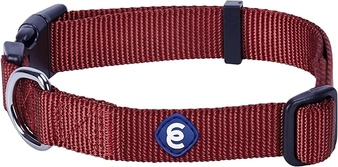 Blueberry Pet Essentials Medium Dog Collar in Fired Brick | Adjustable & Eco-Friendly Durable Nylon Strap | Classic Collar for Medium Dogs, Boy & Girl Pets