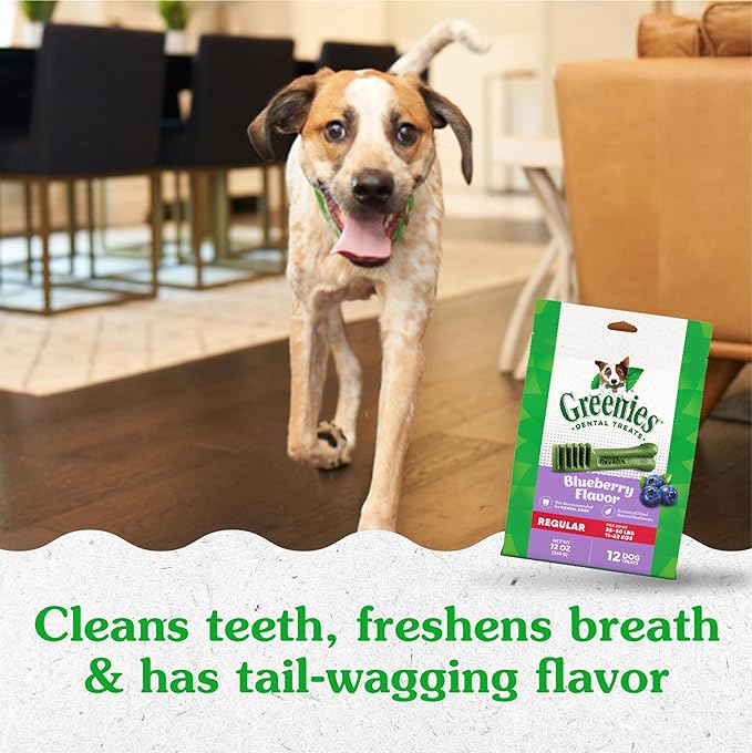Greenies Regular Dental Dog Treats, Blueberry Flavor, 12 oz. Pack (12 Treats)