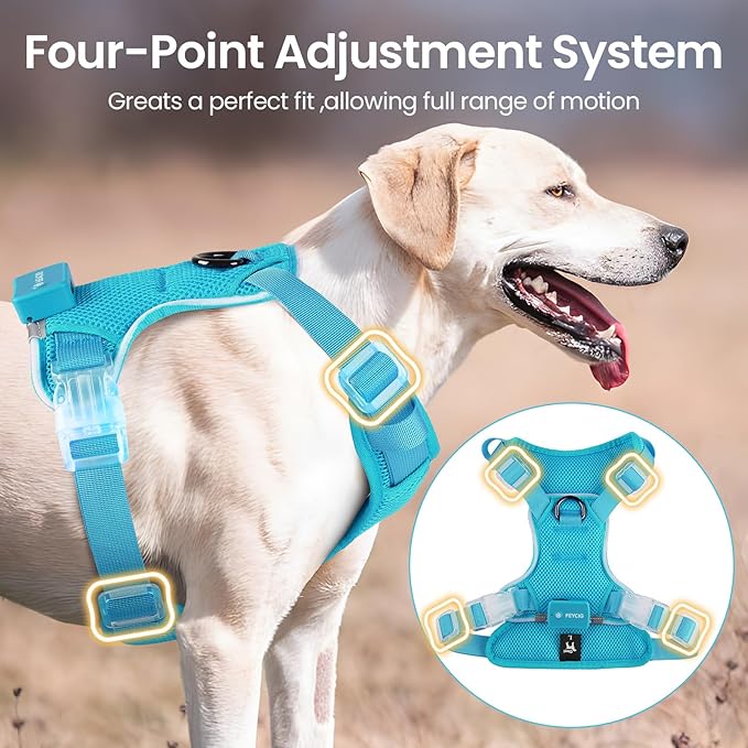 Light Up Dog Harness,Reflective Pet Harness Rechargeable,Led Dog Vest for Night Walking,Adjustable Safety Vest for Small Medium Large Dogs-No Pull,Blue,S