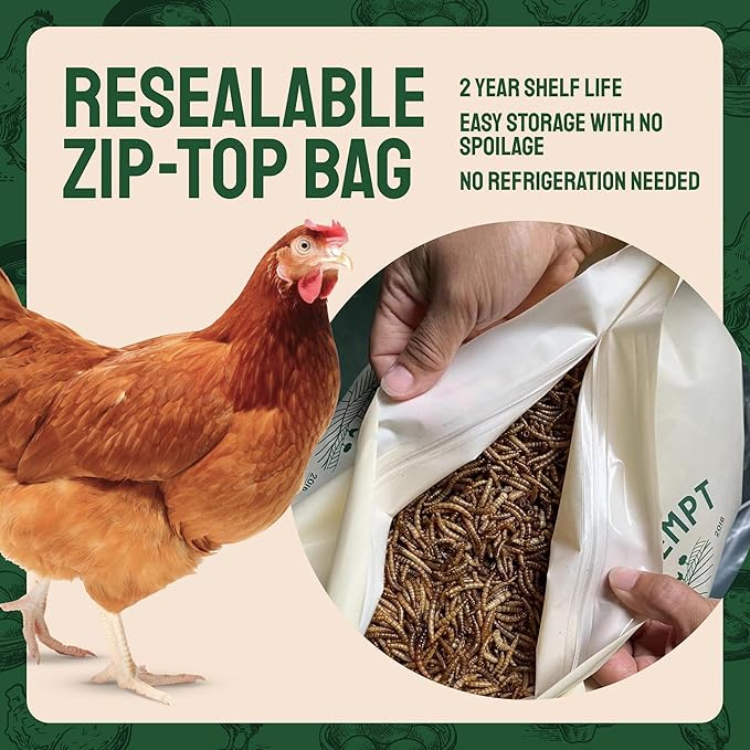 Bulk Dried Mealworms - 10 Lb Bag - Non-GMO Dried Mealworms for Chickens, Ducks & Wild Birds - High-Protein Chicken Feed & Bird Food