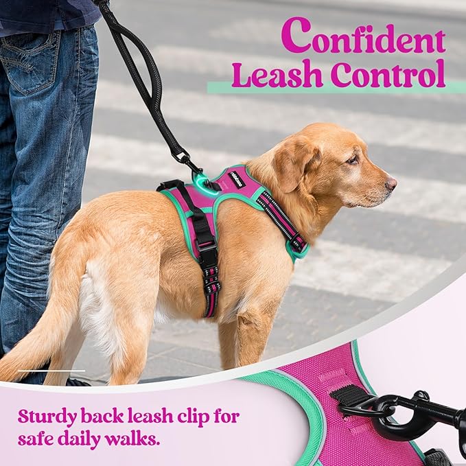 rabbitgoo Dog Harness No Pull with 2 Leash Clips, Adjustable Soft Padded, Reflective Oxford No Choke Pet Vest with Easy Control Handle for Large Dogs, Hot Pink & Turquoise, L