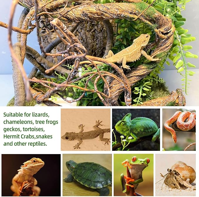 BNOSDM Reptile Vines, Bendable Jungle Climbing Vine with Moss,Terrarium Plants Decor,Artificial Plants Tank Decorations Accessories for Bearded Dragons Chameleons Snakes Lizards Hermit Crabs