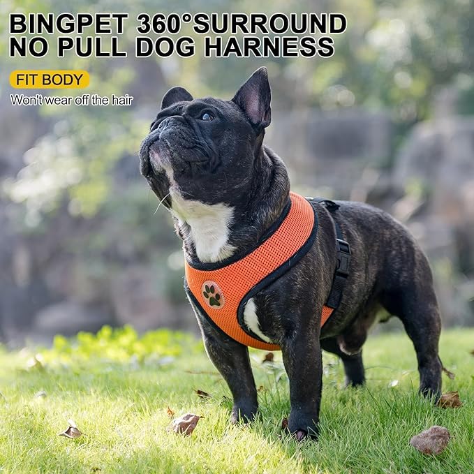 BINGPET No Pull Dog Harness,Soft Mesh Breathable All Weather Vest Harness,Safety Protection Design Durable Adjustable Step-in Easy Walk Dog Harness for Small Medium Large Dogs(Orange,XL)