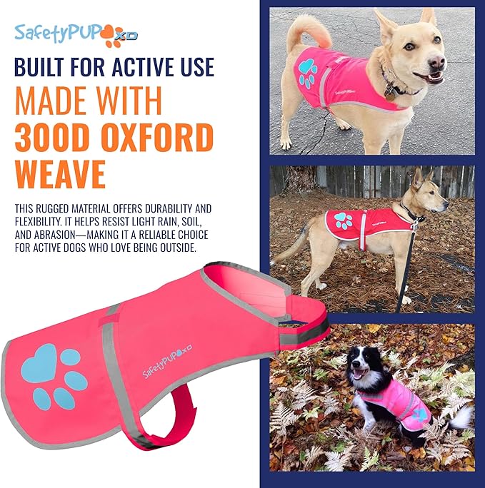 Dog Reflective Vest – Hi-Vis Fluorescent Visibility That Helps to Safeguard Your Pet On/Off Leash in Urban & Rural Areas (Pink, Medium)