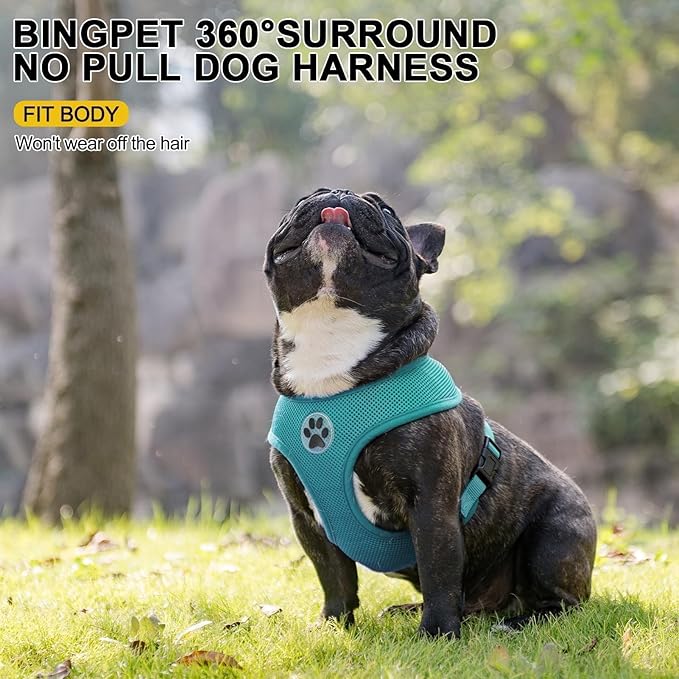 BINGPET Small Dog Harness - Breathable Mesh Puppy Cat Harnesses - No Pull Adjustable Dog Harness Dog Vest Harness for Small and Medium Dogs