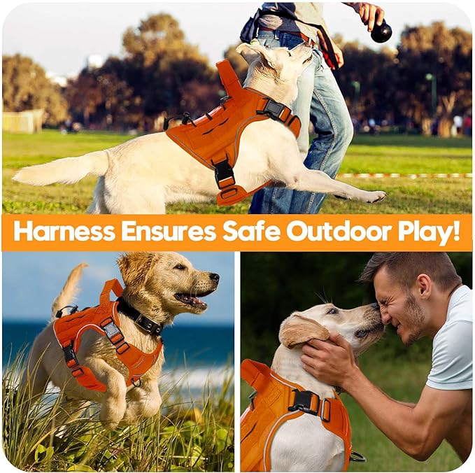 Heavy-Duty Tactical Dog Harness for Large Dogs, No Pull Adjustable Reflective Pet Vest with Molle System, K9 Military-Grade Control for Service Training, Outdoor & 10+ Breeds, Orange, Medium