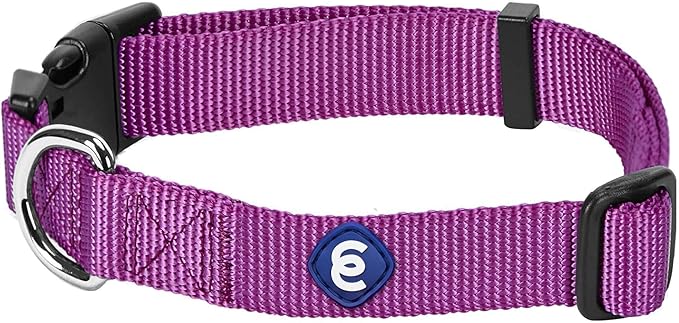 Blueberry Pet Essentials Matching Large Dog Collar | Adjustable Classic Solid Color Nylon Dog Collars for Large Dogs | Violet Dog Collar for Large Dogs