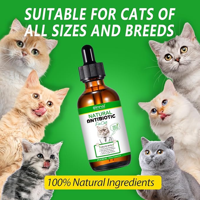 Antibiotics for Cats, Cat Antibiotics for Injections, Natural antibiotic for Cat Immune & Allergy Relief, Cough Relief, Yeast Injection, UTI Treatments, Cats Antibiotics, 60ML