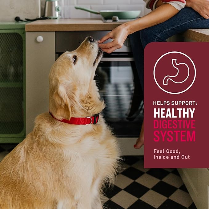 VetIQ Multivitamin Supplement for Dogs, Supports Active Brain Function, Immune System, and Digestive System, Hickory Smoke Flavored Dog Multivitamin, Made in The USA, 60 Count (Pack of 2)