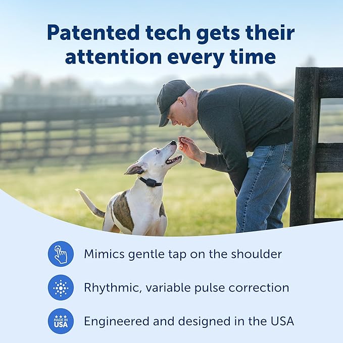 PetSafe Core Dog Trainer with Remote – Waterproof Training Collar – 1000 Foot Range – Tone, Vibration and 15 Levels of Static