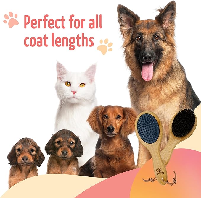 The Buddy System Combo Bristle Pet Brush, 2-in-1 Brush, Durable Rubber Side and Soft Boar Bristle Side - All Pets and Coat Lengths - Top Coat Massage for Cats & Dogs - 1 Pack