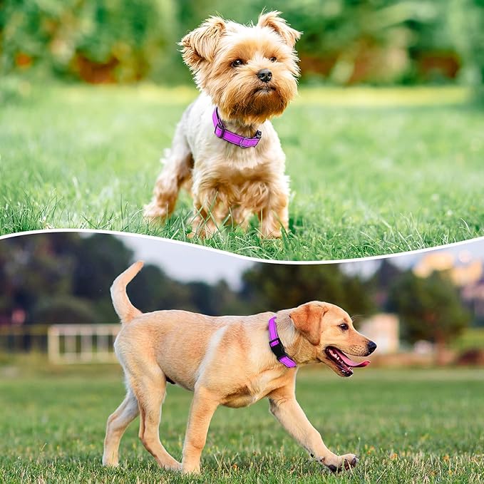 Reflective Dog Collar Padded with Soft Neoprene Breathable Quick Release Basic Dog Collars for Medium Large Dogs Dark Magenta