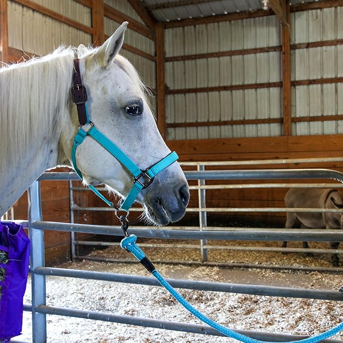 Majestic Ally Leather Halter with Matching Lead Rope for Horses – Leather Breakaway Crown - Adjustable Chin Strap – Rolled Throat Latch – Padded Noseband – Full (Royal Blue, Full)
