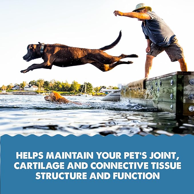 GRIZZLY PET PRODUCTS Joint Aid for Dogs Liquid Hip and Joint Support (Extra Strength), 16 fl oz