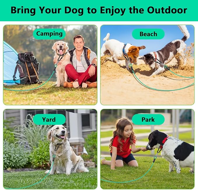 Dog Tie Out Cable 50FT-500Lbs,Heavy Duty Dog Leads Line for Yard with Swivel Hook,Medium Large Dogs Leash&Chains for Outside,Rust Chew Proof Dogs Run Cable for Outdoor Camping(Green Cyan, 50FT)