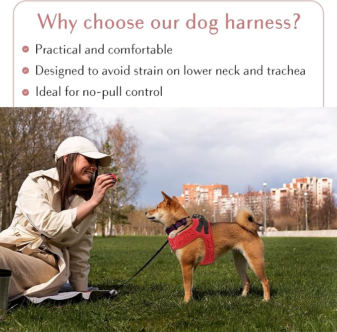 No Pull Dog Harness for Small, Medium & Large Dogs – Soft Padded, Adjustable Step-in Pet Vest with Leash Clips, Reflective Straps & Control Handle
