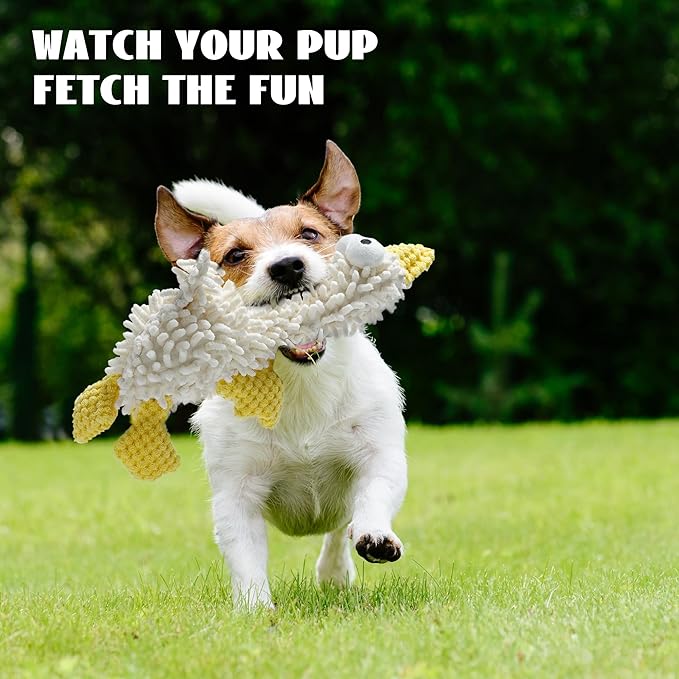 Nocciola Plush Squeaky Dog Toys, Cute Durable Stuffed Crinkle Puppy Pet Chew Toys for Large Medium Small Dogs - Duck