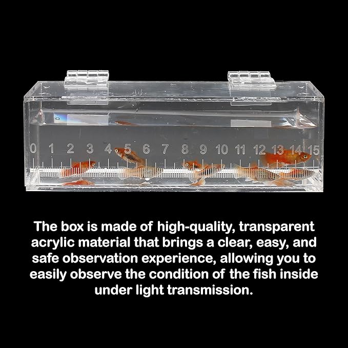 Fish Viewing Box Container with Lid and Scale, Acrylic Portable Fishing Mini Aquarium, Small Fish Breeder Hatching Boxes, Safe Tank Case for Breeding Egg Photo Isolation Outdoor Indoor