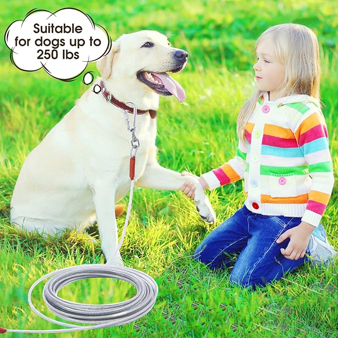 Dog Tie Out Cable for Dogs Outside Up to 250lbs,10/20/30/50/100FT Long Dog Leash&Chains,Small-Large Dogs Runner Cable for Yard,Heavy Duty Lead Line for Outdoor,Camping,Yard (250lbs 100FT, Silver)