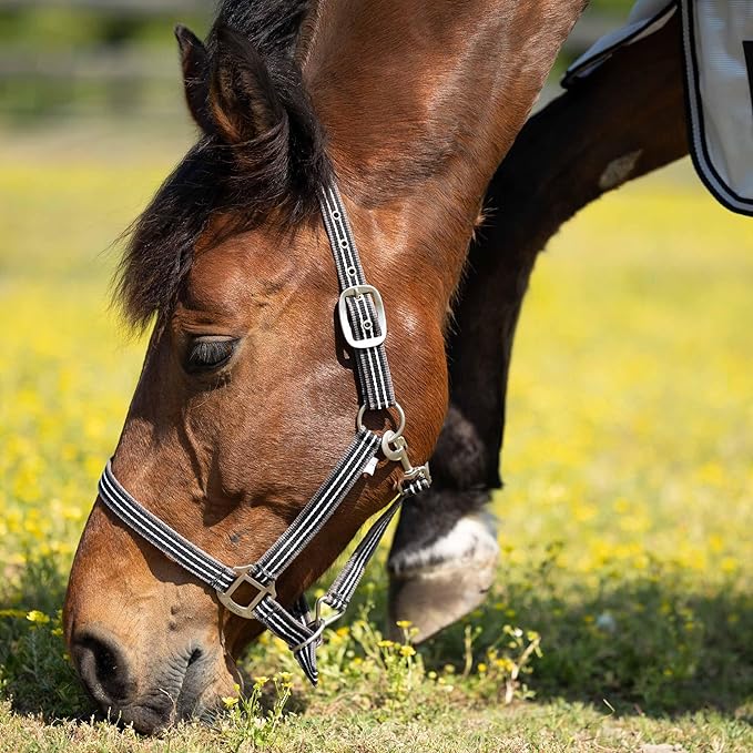 HORZE Adepto Adjustable Horse Halter | Soft, Durable Polyester - Dark Navy - Pony