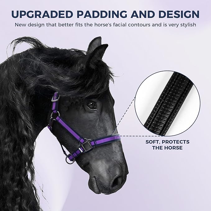 JWODVNTH Adjustable Horse Halter with PP Webbing, Durable Horse Halters with Zinc Alloy Hardware, Horses Training Equipment to Prevent Friction for Training, Competitions ＆ Daily