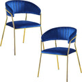 Accent Armchair For Home (Set of 2) - Blue