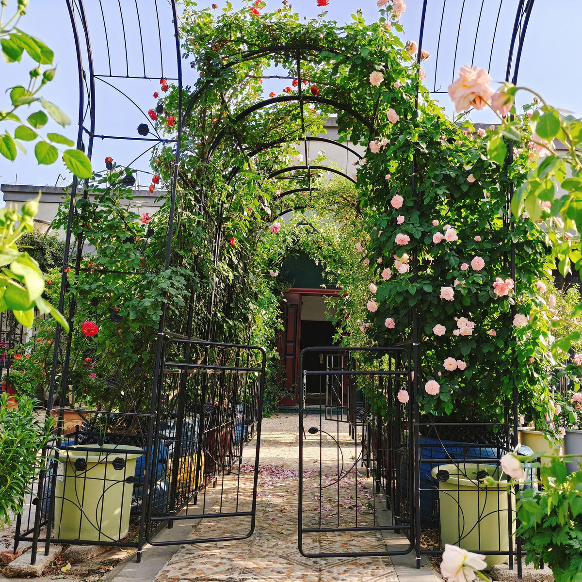 Metal Garden Arch With Gate Wide High Climbing Plants Support Rose Arch Outdoor - Black