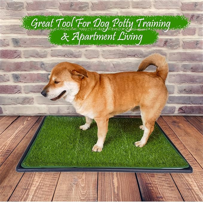 Dewonch Dog Artificial Grass Pad with Tray for Puppy Potty Training, Fake Turf Patch & Washable Pee Pad Pet Loo for Small and Medium Dogs, Indoor or Outdoor Use (Potty System 35.4” x 23.6”)