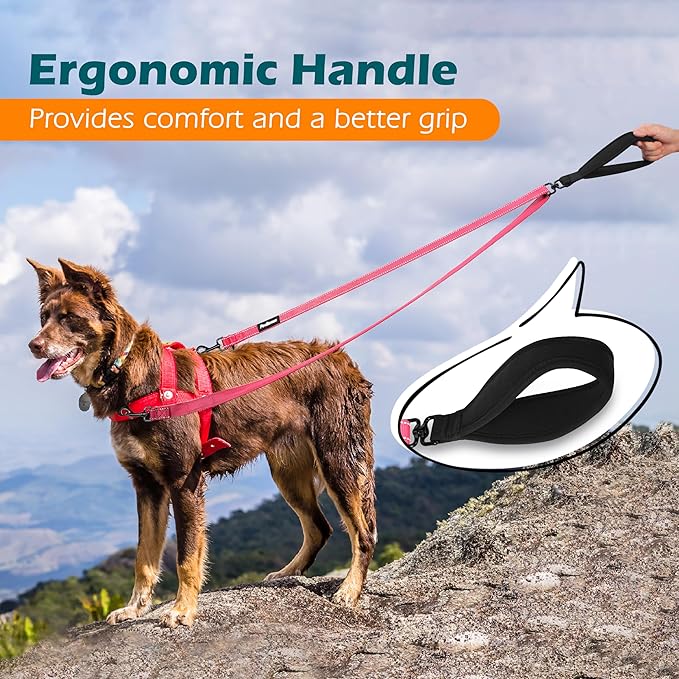 PetBonus Two Point Control Dog Leash, Works with No Pull Harnesses, No Tangle Training Leashes, Soft Padded and Reflective Walking Lead, Converts to Single Lead for Medium Large Dogs (Pink)