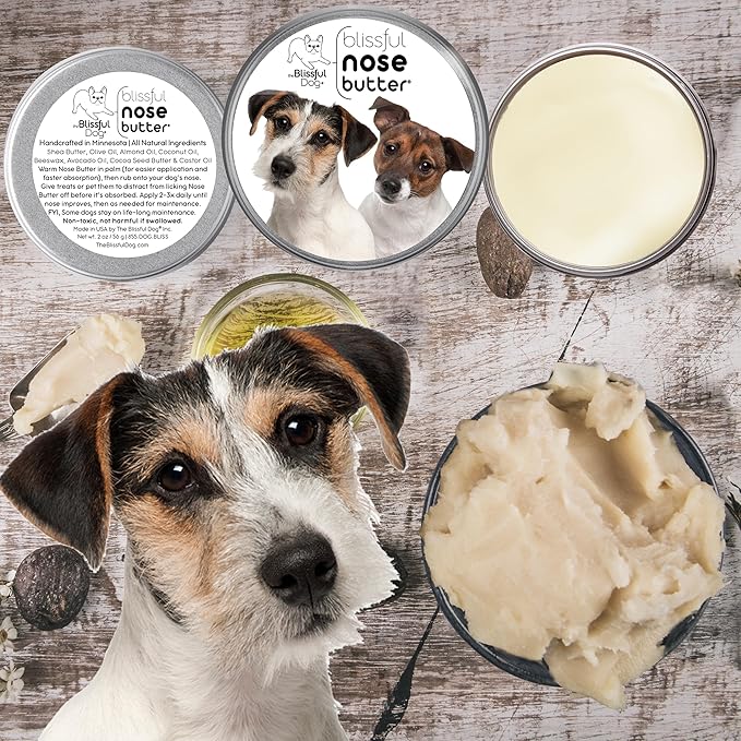 The Blissful Dog Jack Russell Terrier Unscented Nose Butter - Dog Nose Butter, 2 Ounce