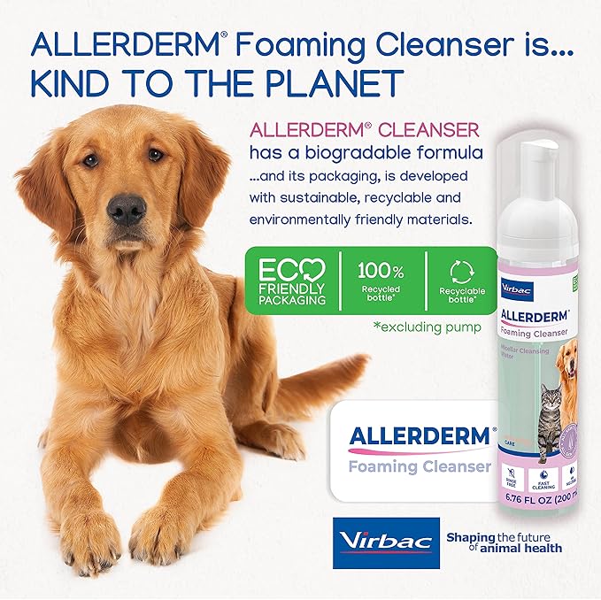 ALLERDERM Foaming Cleanser- Rinse-Free Waterless Micellar Foam for Dogs and Cats with Sensitive Skin by Virbac