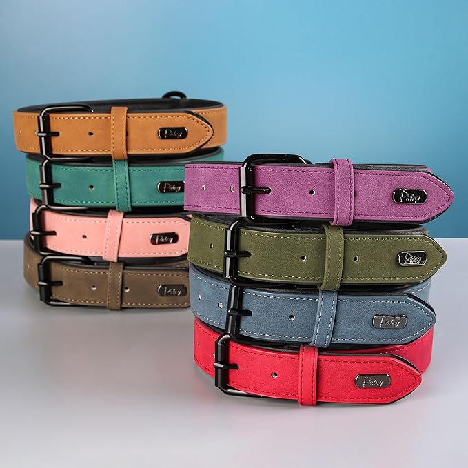 Didog Soft Padded Leather Dog Collar, Breathable Heavy Duty Dog Collar Leather with Adjustable Rust-Proof Metal Buckle for Small Medium Large Dogs, Green, XL