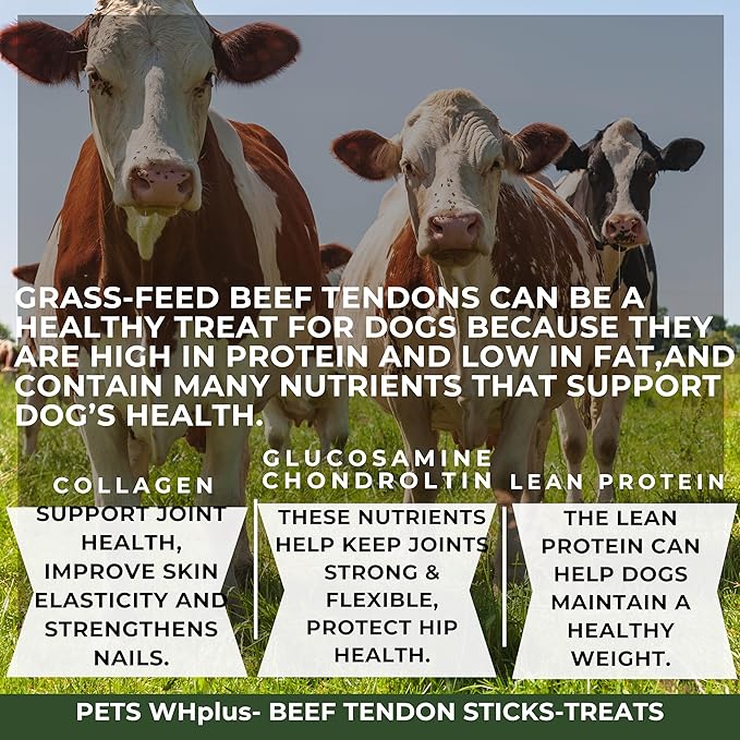 Beef Tendon Dog Treats, Single Ingredient, 100% Natural, Grass-Fed, Long-Lasting Rawhide-Free Chews, Collagen Protein, Dental & Joint Support, 4 oz, Safe & Grain-Free Snack