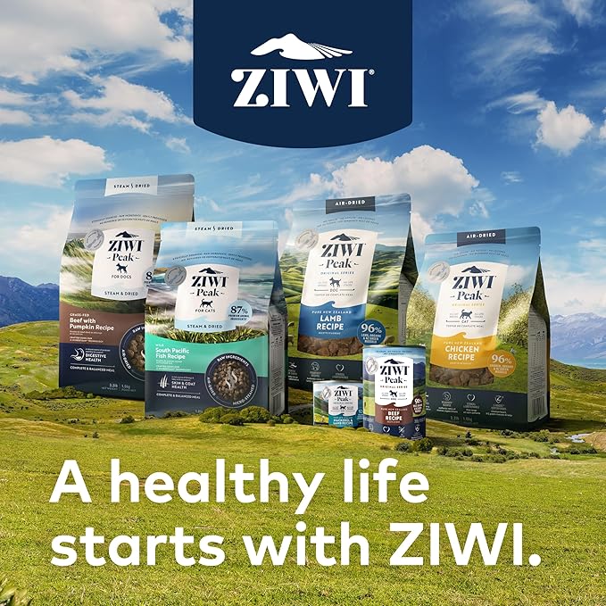 ZIWI Peak Air-Dried Cat Food – Chicken - All Natural, High Protein, Grain Free, Limited Ingredient w/ Superfoods (14oz)