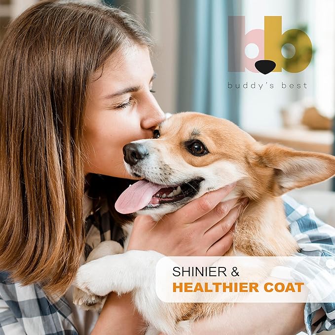 Salmon Oil for Dogs & Cats – Omega 3 Supplement with EPA & DHA | 100% Norwegian Fish Oil | Odorless, Human-Grade | Skin, Coat & Joint Support | 32 oz | Buddy’s Best
