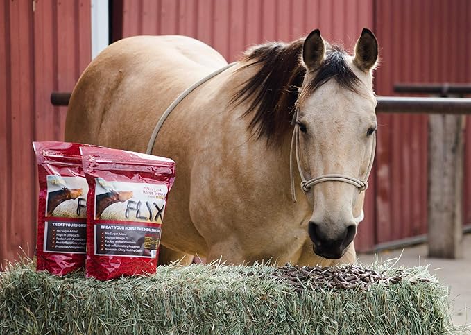 Flix 9 lb, 100% Flaxseed Healthy Treats for Horses, High in Omega-3