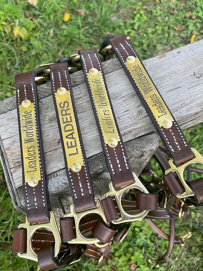 Leaders Leather Halter for Horses with Customized Engraved Name Plate Option Halter for Horse