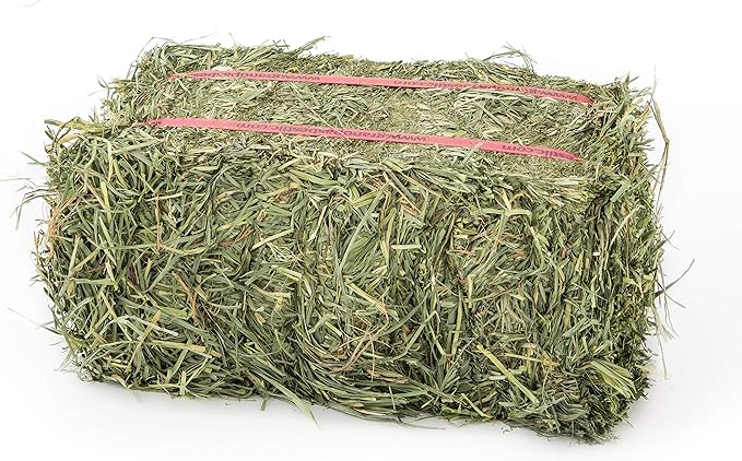 Grandpa's Best Orchard Grass Bale for Rabbits, Guinea Pigs, Chinchillas, Hamsters & Gerbils, 10 Lbs (Packaging may vary)