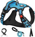 NESTROAD No Pull Dog Harness,Adjustable Oxford Dog Vest Harness with Leash,Reflective No-Choke Pet Harness with Easy Control Soft Handle for Small Dogs(X-Small,Blue)