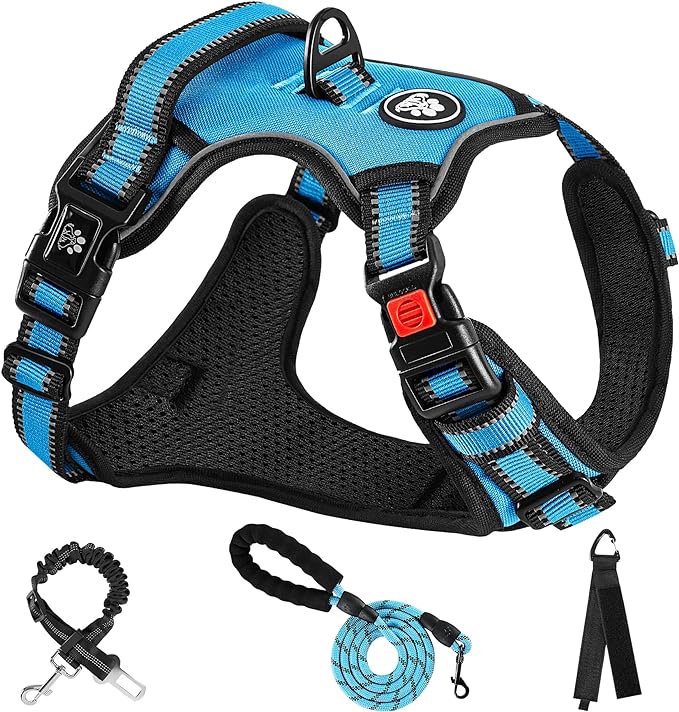 NESTROAD No Pull Dog Harness,Adjustable Oxford Dog Vest Harness with Leash,Reflective No-Choke Pet Harness with Easy Control Soft Handle for Small Medium Dogs(Medium,Blue)