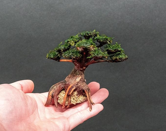 Live Aquarium Plants on Driftwood, Lava Rock, Moss, Fiber Mat - Freshwater Fish Tanks - Easy, Beginner Friendly (Moss on Bonsai Tree, (Medium))
