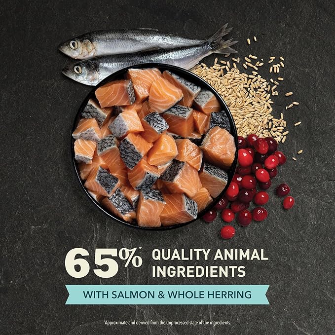 ACANA Dry Cat Food Bountiful Catch Salmon Catfish and Herring 10lb Bag