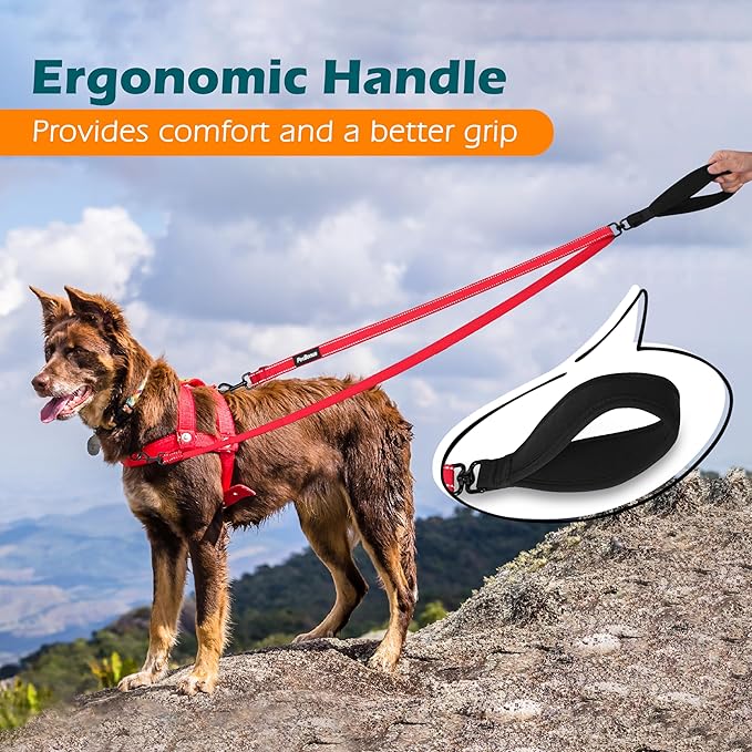 PetBonus Two Point Control Dog Leash, Works with No Pull Harnesses, No Tangle Dog Training Leashes, No Pull Padded and Reflective Walking Lead,Converts to Single Leash for Medium Large Dogs (Red)