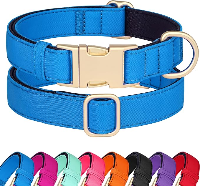 Didog Soft Padded Dog Collars for Medium Dogs, Colorful and Durable Dog Collar with Quick Release Buckle, Light and Breathable for Daily Walking, Blue, M