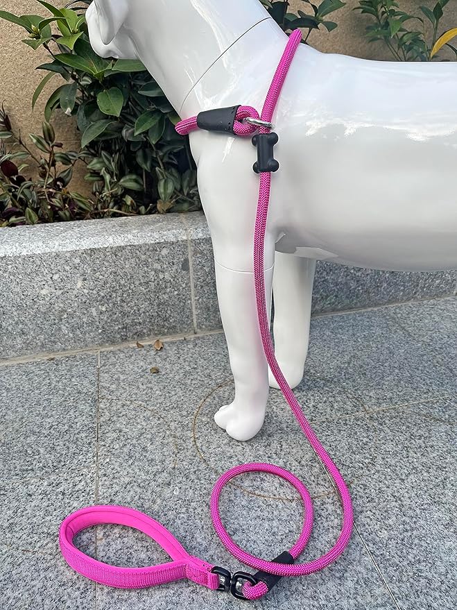 Slip Lead Dog Leash，Strong Nylon Rope Leash and Padded Handle,No Pull Outdoor Walking Training Lead for Small Medium Large Dogs(Fuchsia, 1/2"×6ft)