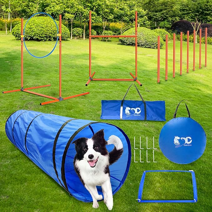 Dog Agility Training Equipment, Obstacle Agility Training Starter Kit for Doggie, Including Tunnel, 27 Weave Poles, Adjustable Hurdle, Jump Ring, Pause Box and Carrying Bag(Blue,L)