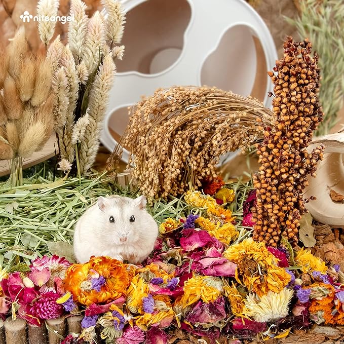 Niteangel Natural & Soft Hamster Bedding Mate Small Animal Habitat Decor for Syrian Dwarf Hamsters Gerbils Mice Degus Bunny or Other Small-Sized Pet (Flowers Scent Path)